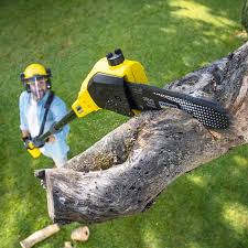 Best Emergency Tree Removal  in Heyburn, ID